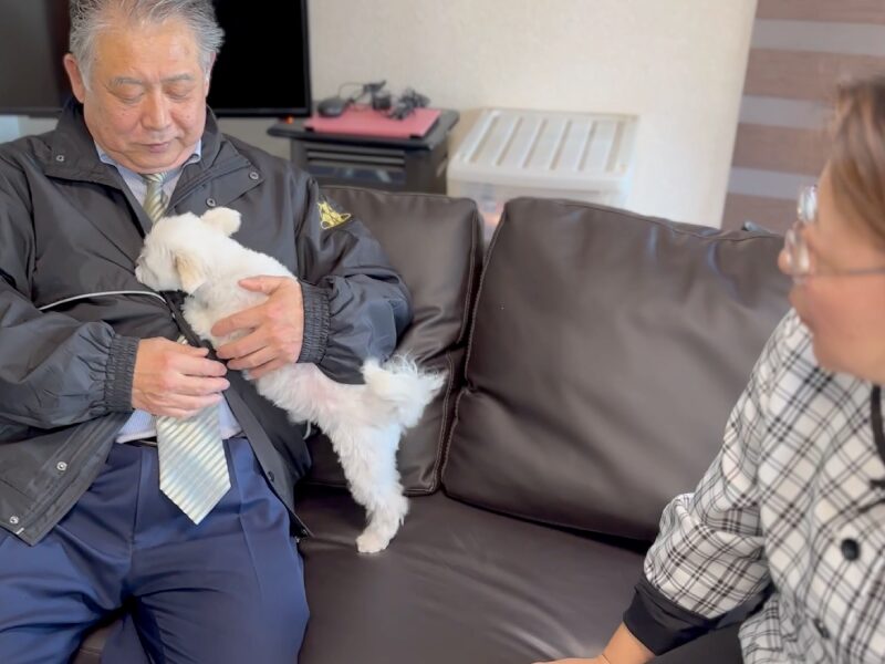 株式会社ORSの専務とししまる君